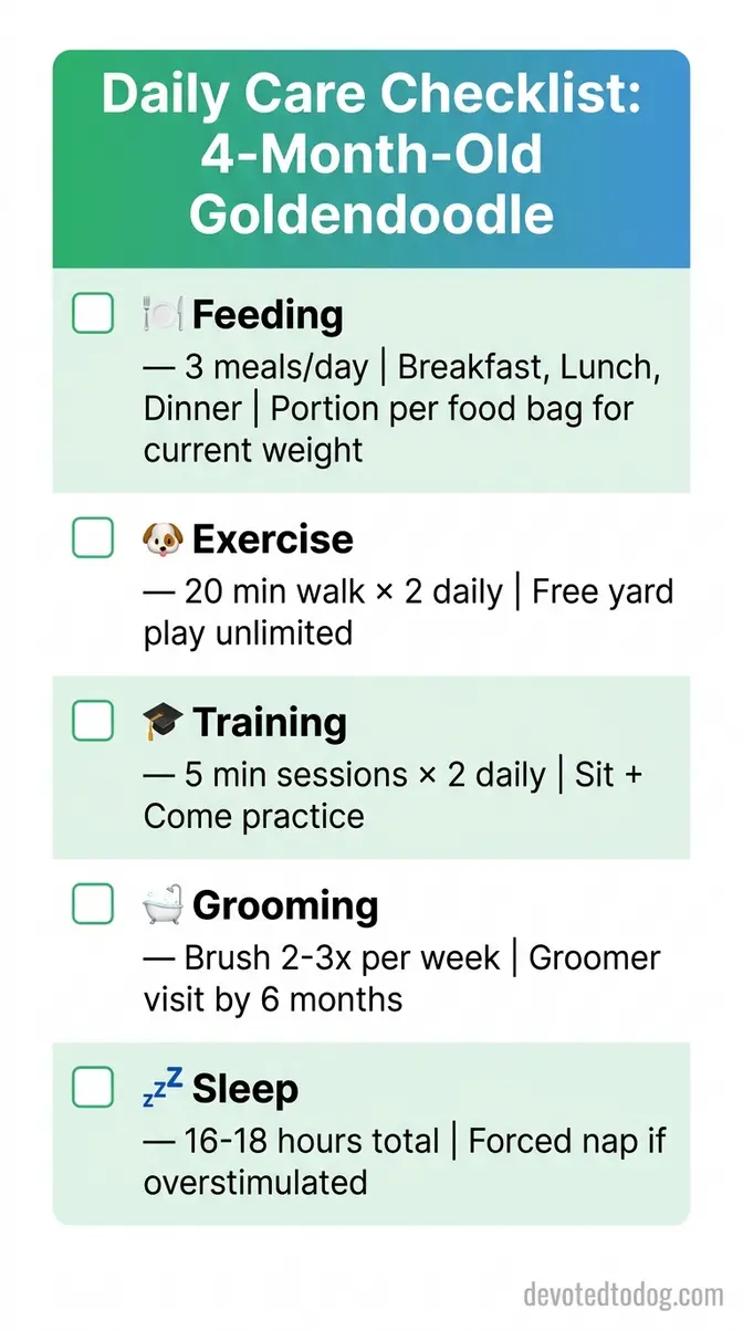 Daily care checklist infographic for four-month-old Goldendoodle covering feeding, exercise, training, grooming, and sleep schedule