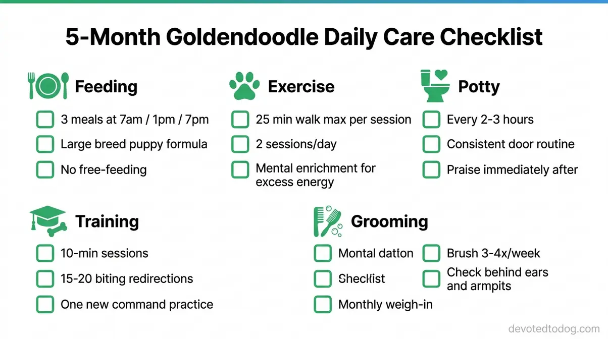 Illustrated daily care checklist for 5-month-old Goldendoodle covering feeding, exercise, potty, training, and grooming tasks