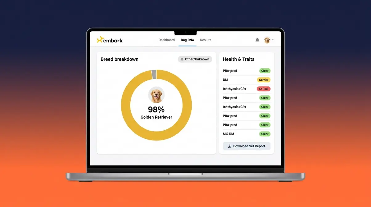 Embark Breed Health Kit results dashboard showing dog DNA health markers and breed breakdown for a Golden Retriever