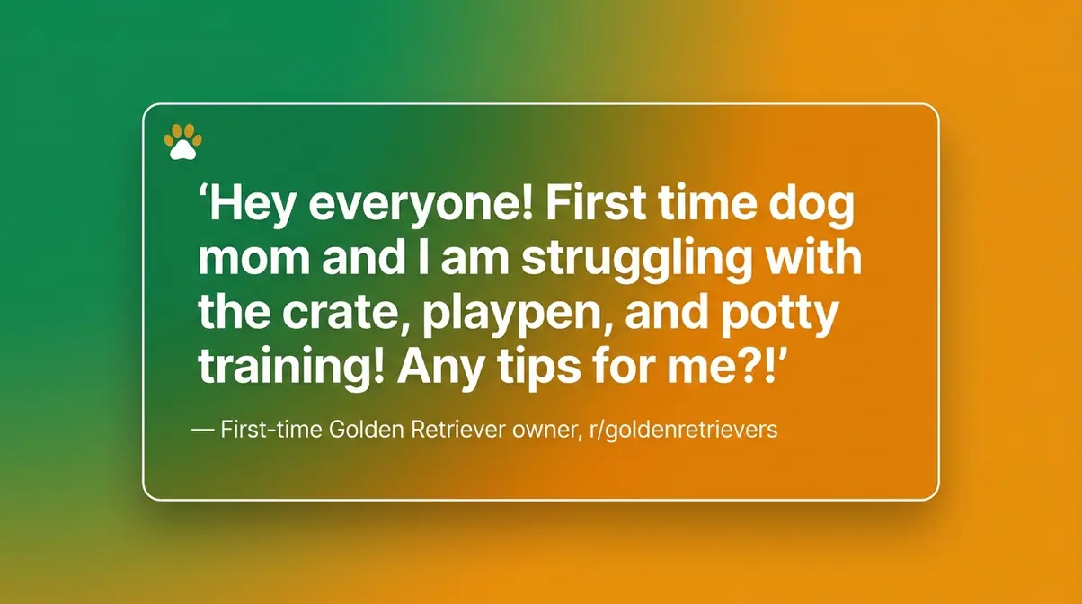Quote from first-time golden retriever owner struggling with crate and potty training on Reddit