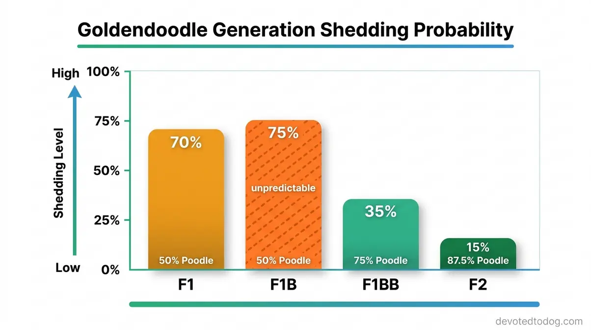 Bar chart comparing goldendoodle shedding probability by generation F1 F1B F1BB and F2