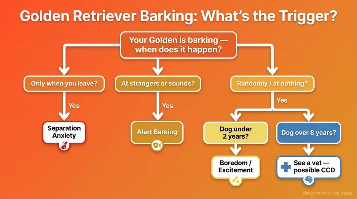 Flowchart helping golden retriever owners diagnose barking triggers with yes/no decision questions
