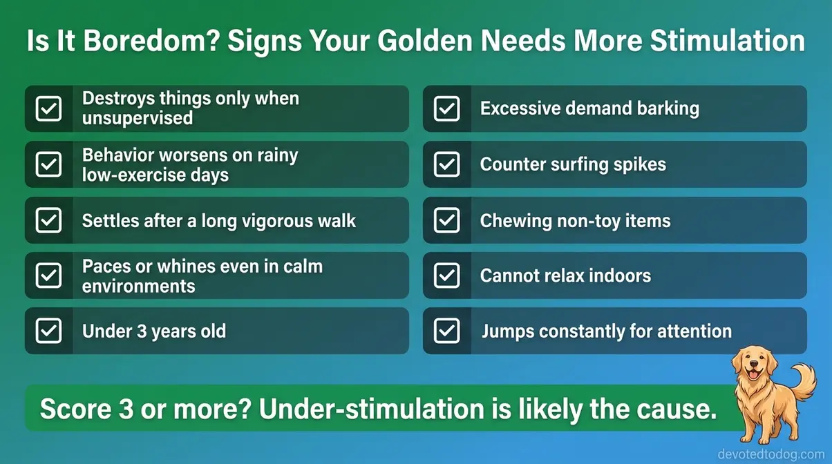 Checklist infographic of signs a golden retriever needs more mental and physical stimulation