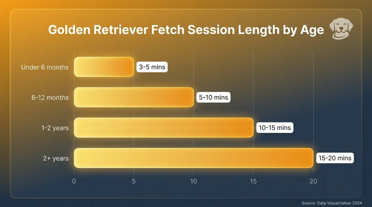 chart showing recommended fetch session lengths by golden retriever age from puppy to adult