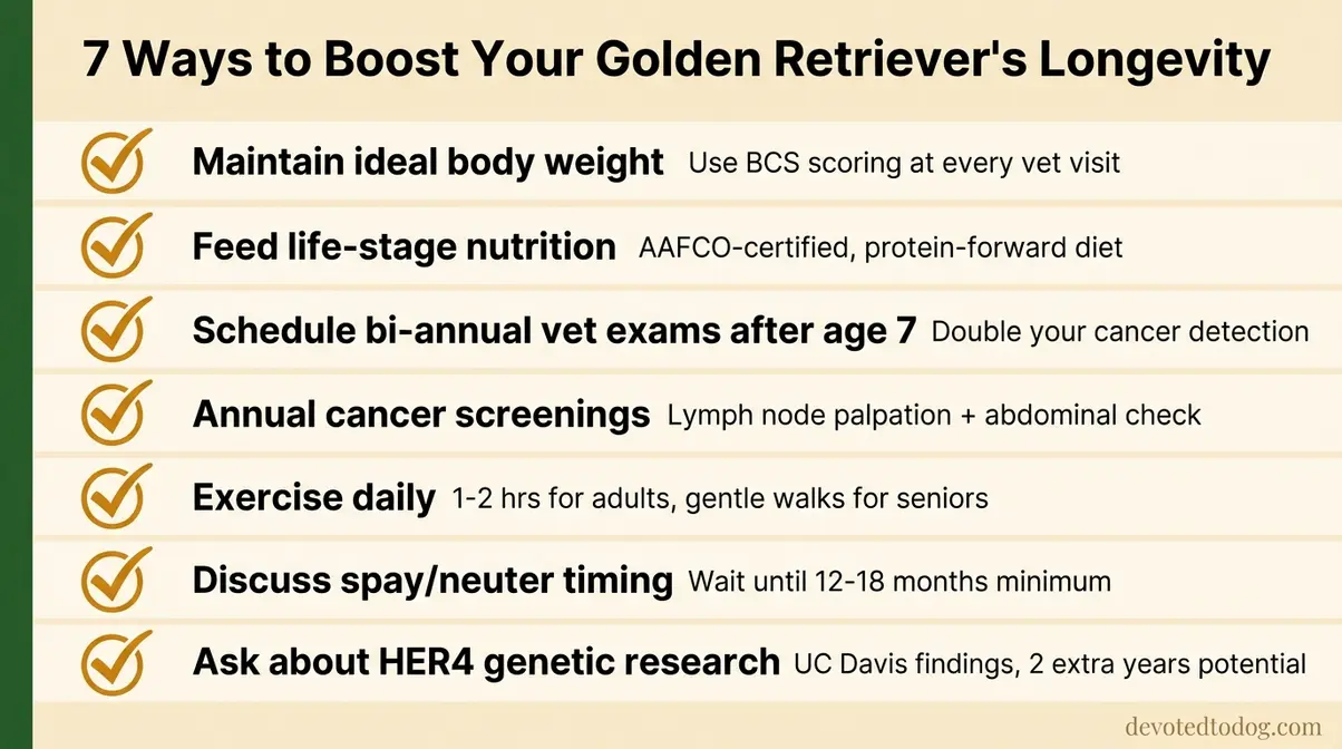 Checklist graphic showing 7 actionable tips to extend golden retriever life expectancy including diet exercise and annual vet screenings