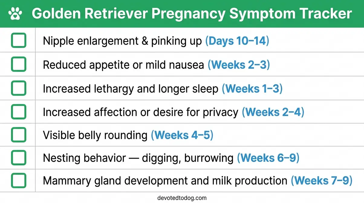Golden retriever pregnancy symptom tracker checklist showing seven key signs by week