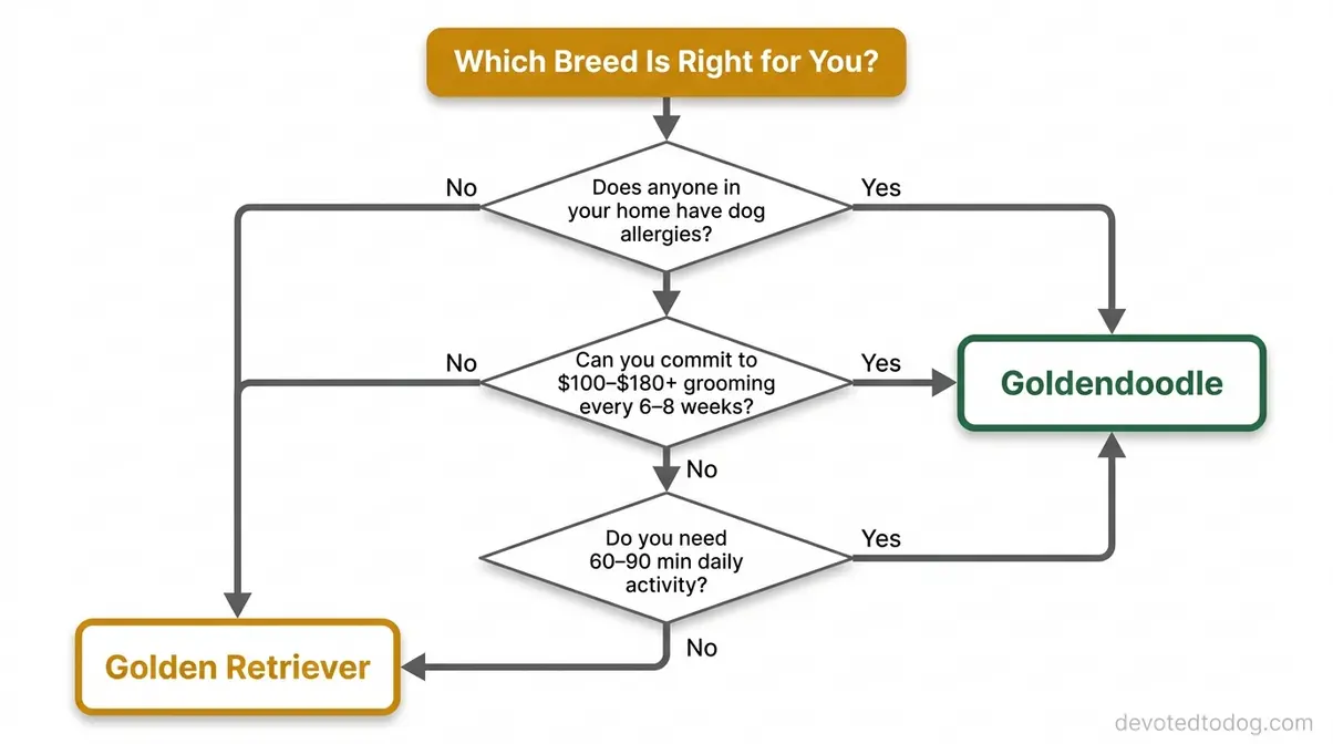 Golden retriever vs goldendoodle decision flowchart for choosing the right breed based on lifestyle and budget