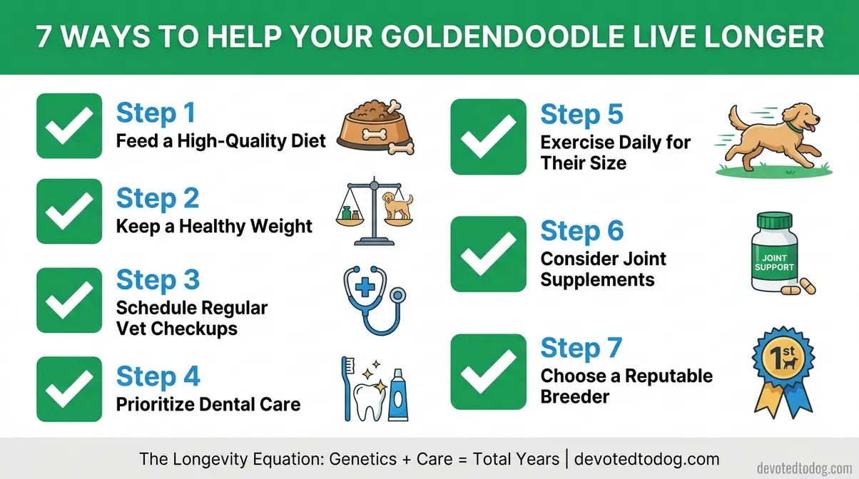 Checklist infographic of 7 proven strategies to extend Goldendoodle lifespan including diet exercise and vet care