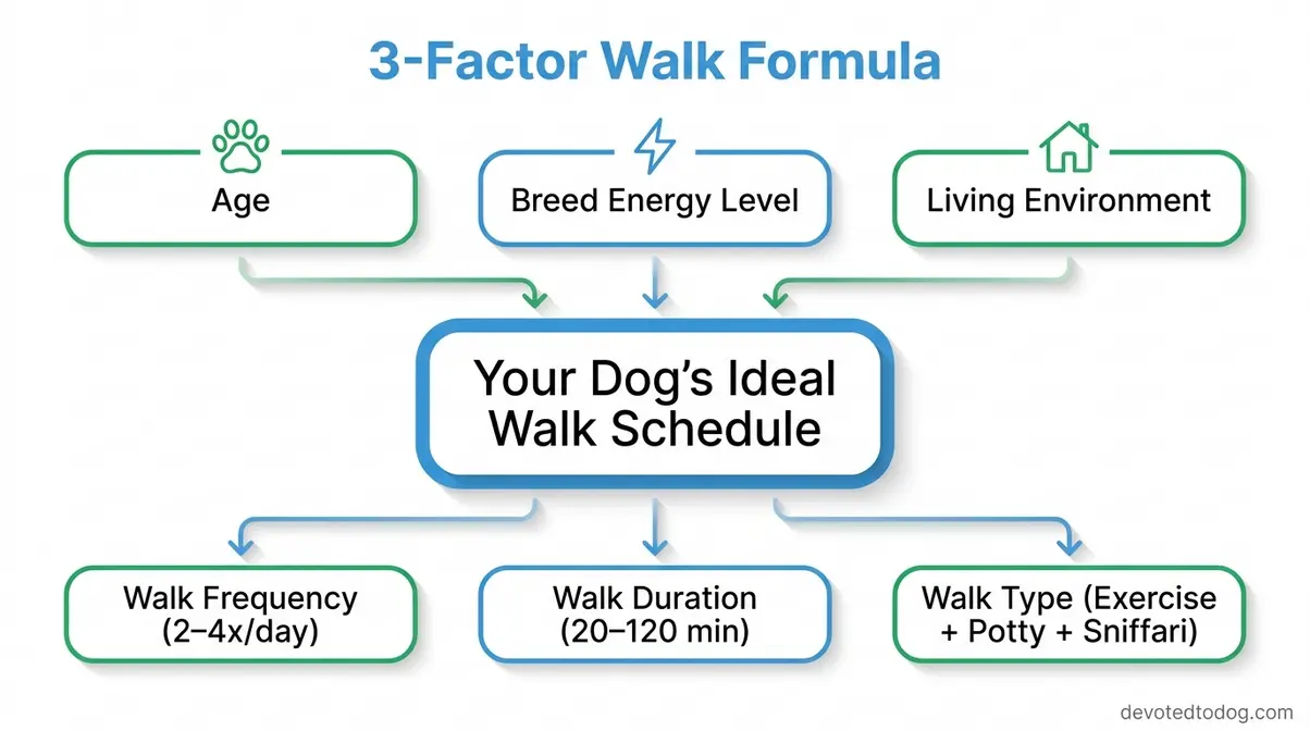Flowchart showing how age, breed energy, and environment determine a dog