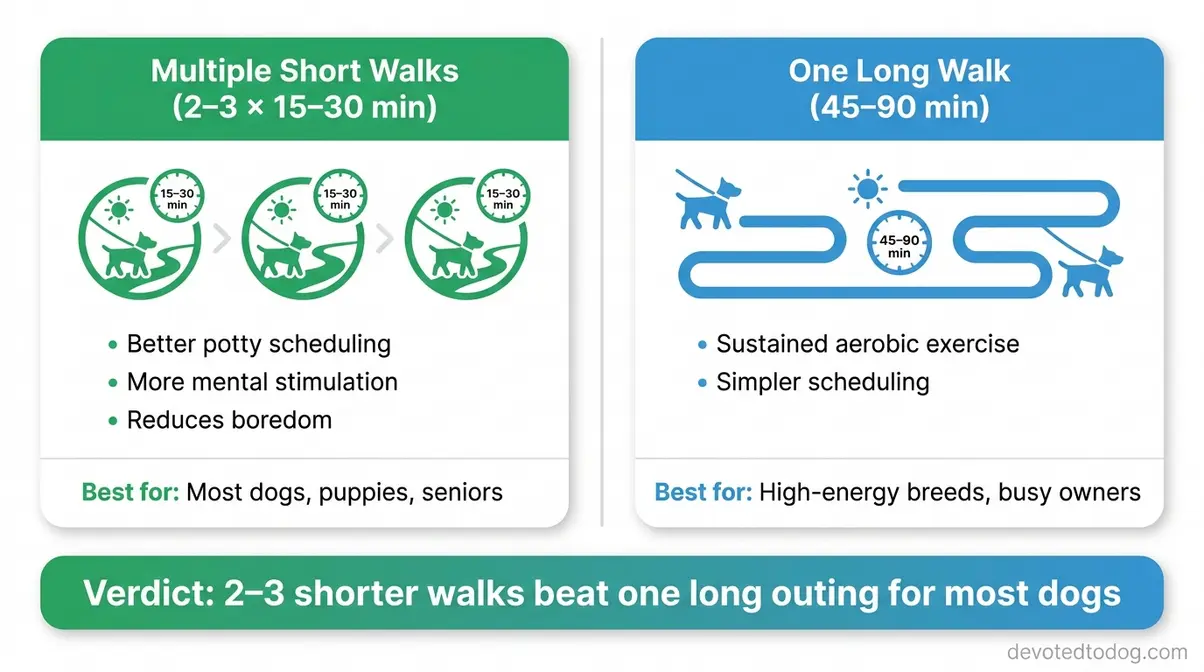 Comparison infographic showing pros and cons of one long walk versus multiple short walks for dogs