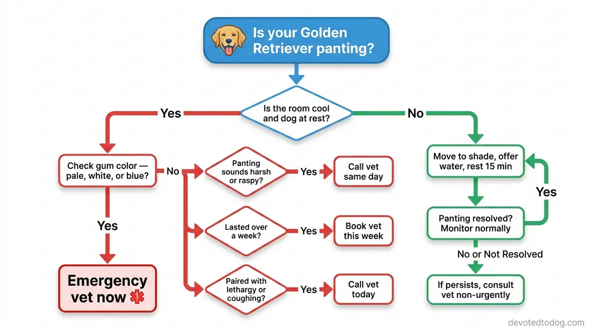 Flowchart showing golden retriever panting symptom triage and when to call vet immediately